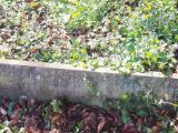 image of grave number 826877